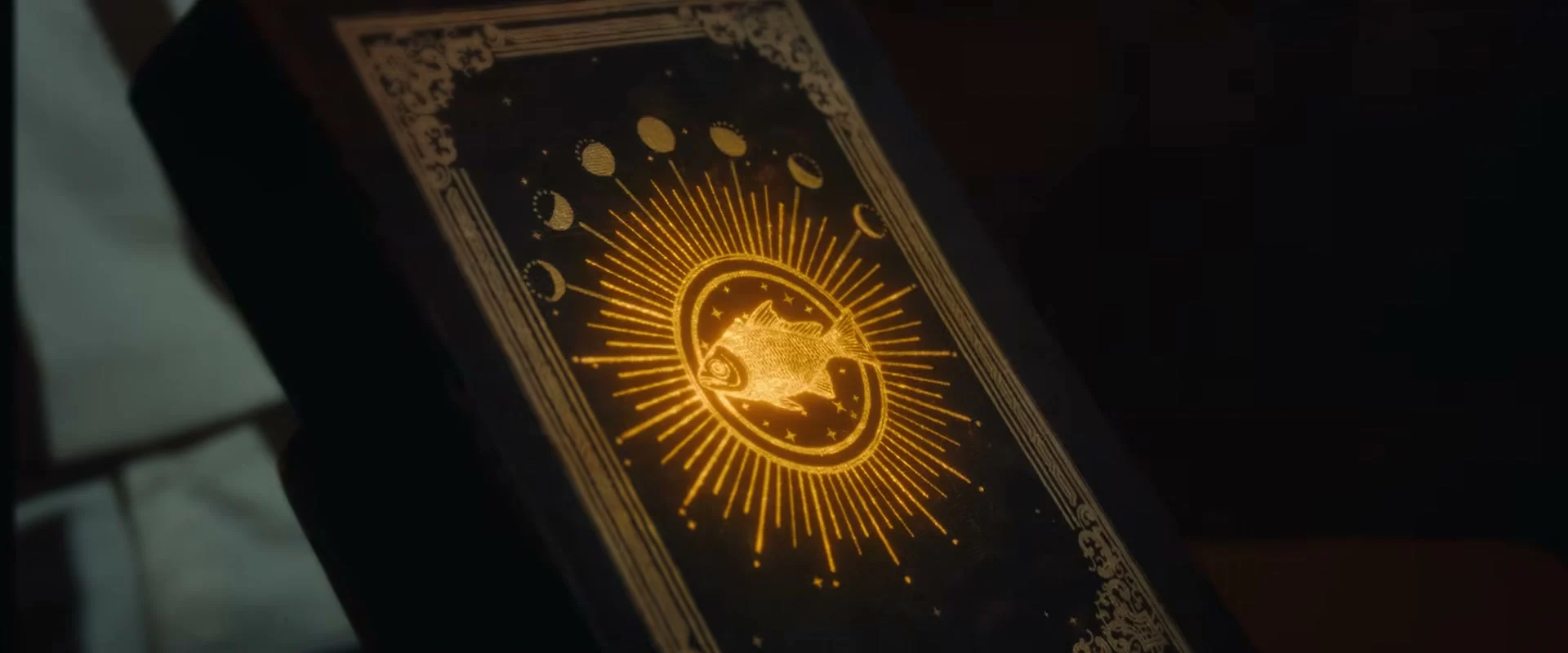 Ornate closed book cover from the Matsya first glimpse.
